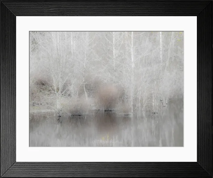 Framed Print : USA, Washington State, Sammamish springtime and alder trees and their reflections in small pond Framed Print : USA, Washington State, Sammamish springtime and alder trees and their reflections in small pond