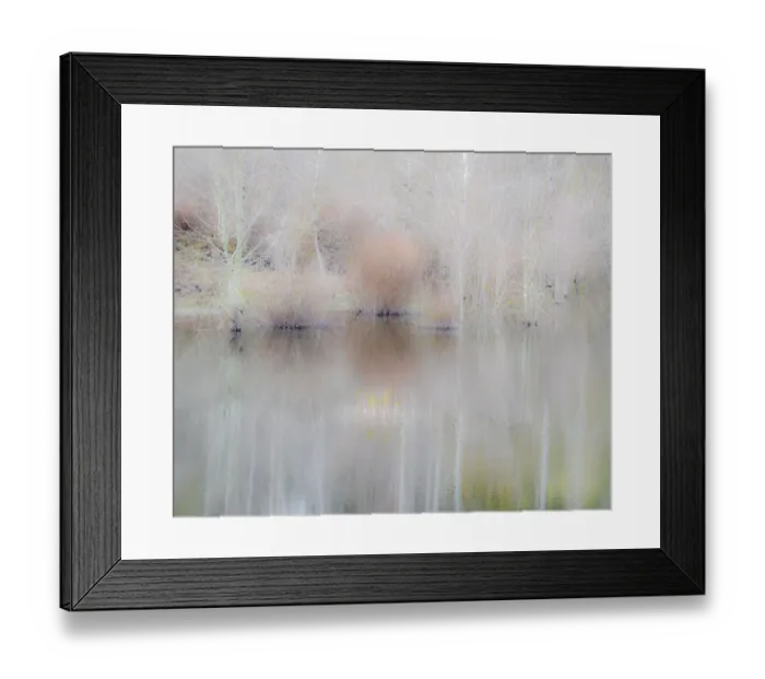 Framed Print : USA, Washington State, Sammamish springtime and alder trees and their reflections in small pond