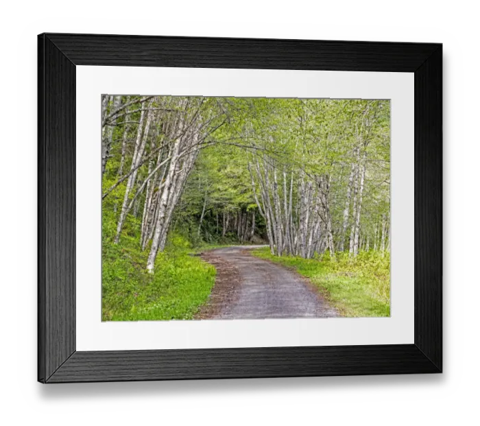 Framed Print : USA, Washington State, Old Cascade Highway off of Highway 2