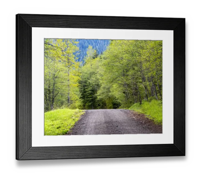 Framed Print : USA, Washington State, Old Cascade Highway off of Highway 2 Framed Print : USA, Washington State, Old Cascade Highway off of Highway 2