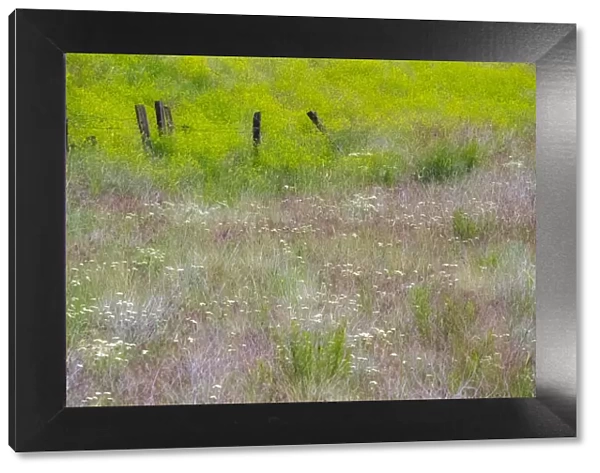 USA, Washington State, Benge. Wooden post fence and grasses on rolling hills