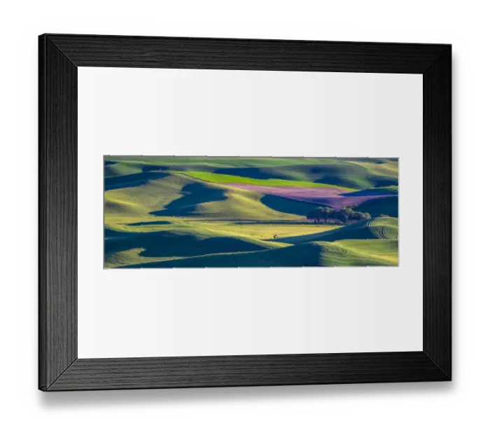 Framed Print : USA, Washington State, Palouse and Steptoe Butte State Park view of Wheat and Canola Framed Print : USA, Washington State, Palouse and Steptoe Butte State Park view of Wheat and Canola