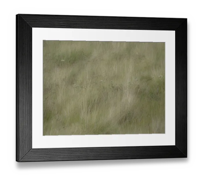 Framed Print : USA, Washington State, Palouse grasses soft focused near Colfax Framed Print : USA, Washington State, Palouse grasses soft focused near Colfax