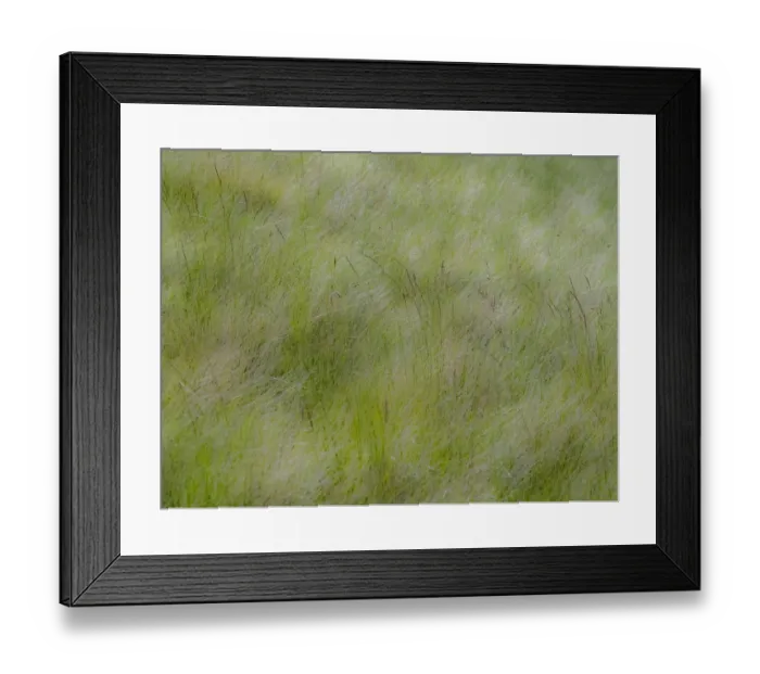 Framed Print : USA, Washington State, Palouse grasses soft focused near Colfax Framed Print : USA, Washington State, Palouse grasses soft focused near Colfax