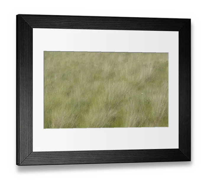 Framed Print : USA, Washington State, Palouse grasses soft focused near Colfax Framed Print : USA, Washington State, Palouse grasses soft focused near Colfax