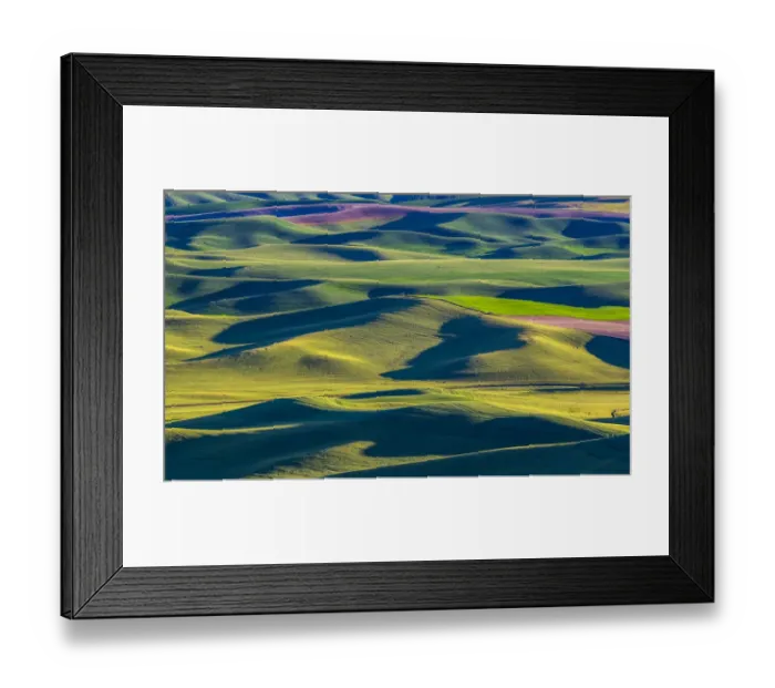 Framed Print : USA, Washington State, Palouse and Steptoe Butte State Park view of Wheat and Canola Framed Print : USA, Washington State, Palouse and Steptoe Butte State Park view of Wheat and Canola