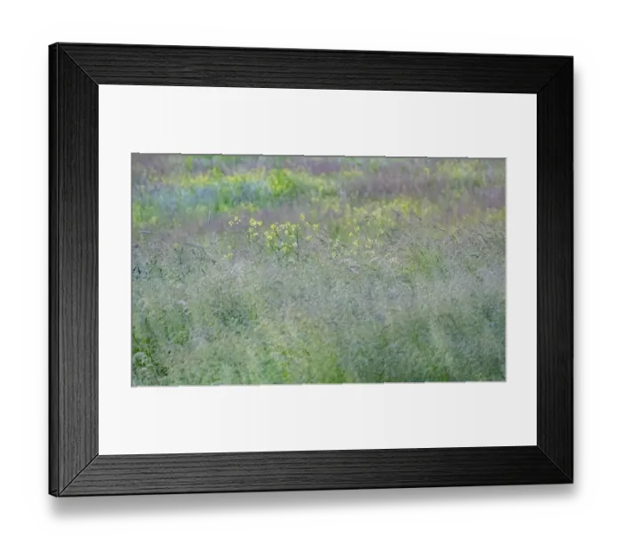 Framed Print : USA, Washington State, Palouse, Eastern Washington. Green grass field Framed Print : USA, Washington State, Palouse, Eastern Washington. Green grass field