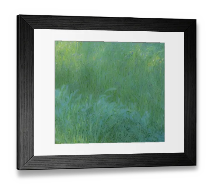 Framed Print : USA, Washington State, Palouse with hillside planted in grass Framed Print : USA, Washington State, Palouse with hillside planted in grass