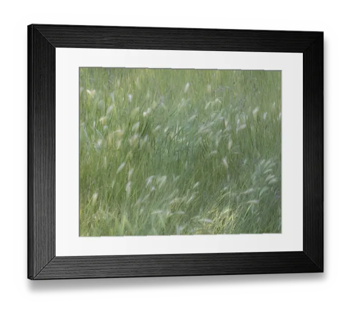 Framed Print : USA, Washington State, Palouse with hillside planted in grass Framed Print : USA, Washington State, Palouse with hillside planted in grass