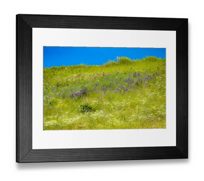 Framed Print : USA, Washington State, Palouse grass fields that were not being farmed