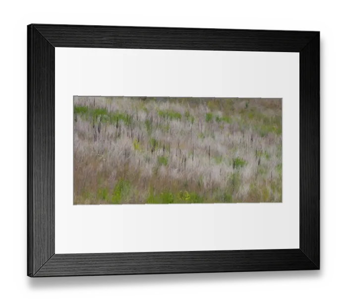 Framed Print : USA, Washington State, Palouse grass fields that were not being farmed Framed Print : USA, Washington State, Palouse grass fields that were not being farmed