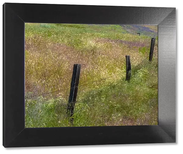 USA, Washington State, Palouse with wooden fence posts in grass field