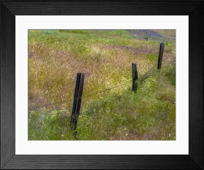Framed Print : USA, Washington State, Palouse with wooden fence posts in grass field Framed Print : USA, Washington State, Palouse with wooden fence posts in grass field