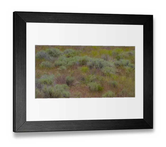 Framed Print : USA, Washington State, Palouse, Colfax and field of sagebrush Framed Print : USA, Washington State, Palouse, Colfax and field of sagebrush