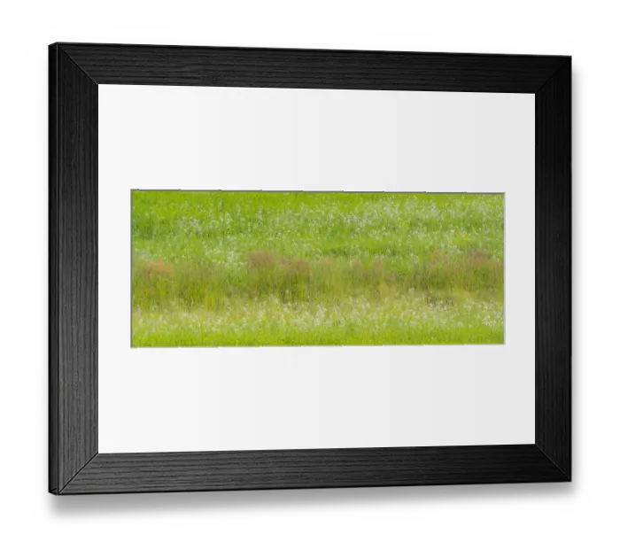 Framed Print : USA, Washington State, Palouse grass fields that were not being farmed