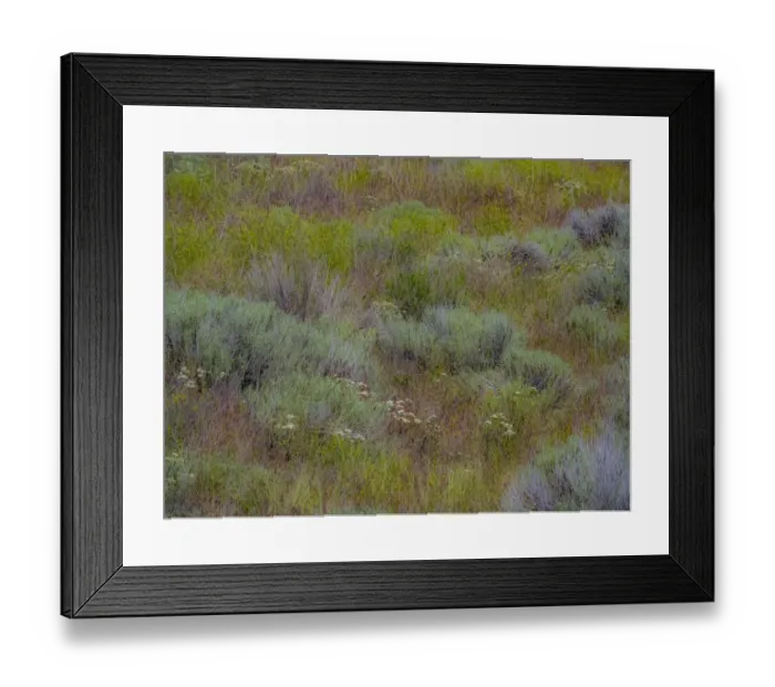 Framed Print : USA, Washington State, Palouse, Colfax and field of sagebrush Framed Print : USA, Washington State, Palouse, Colfax and field of sagebrush
