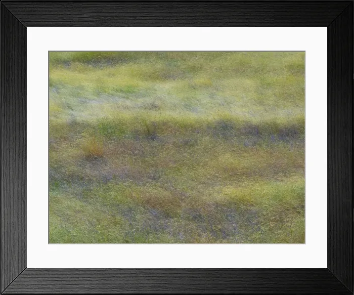 Framed Print : USA, Washington State, Eastern Washington field of wildflowers near Winona Framed Print : USA, Washington State, Eastern Washington field of wildflowers near Winona