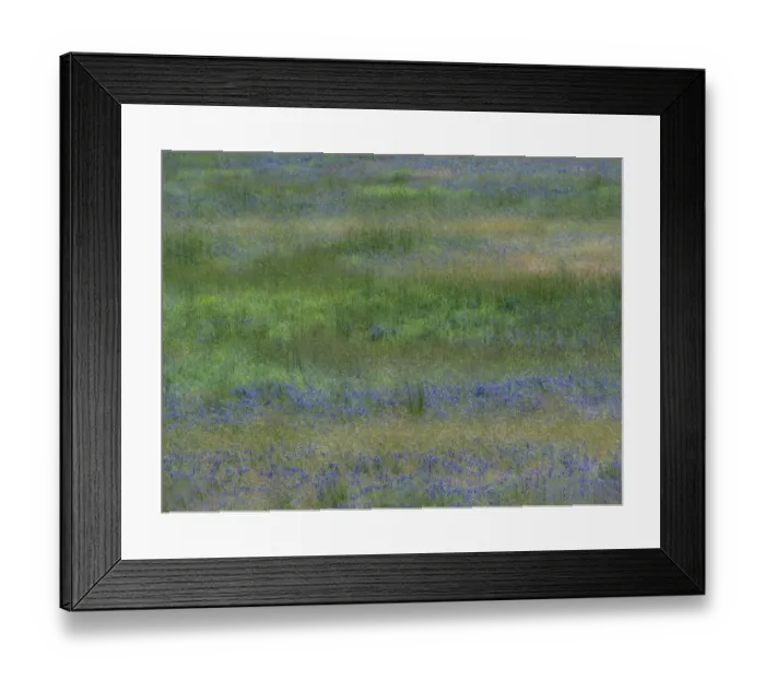 Framed Print : USA, Washington State, Benge. Purple vetch in field Framed Print : USA, Washington State, Benge. Purple vetch in field