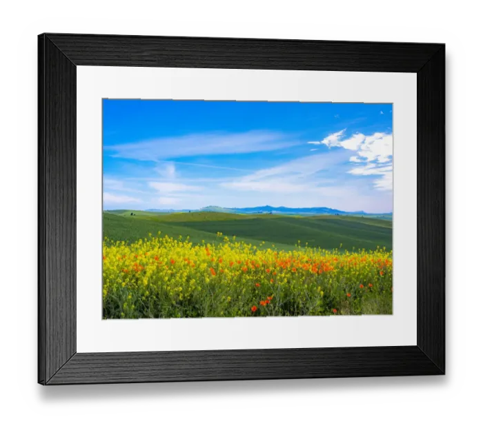 Framed Print : USA, Washington State, Palouse red poppies and yellow canola with landscape of wheat fields Framed Print : USA, Washington State, Palouse red poppies and yellow canola with landscape of wheat fields