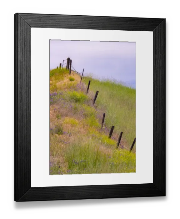 Framed Print : USA, Washington State, Palouse fence line near Winona with vetch and grasses Framed Print : USA, Washington State, Palouse fence line near Winona with vetch and grasses