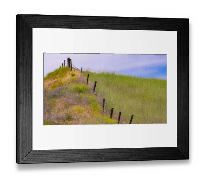 Framed Print : USA, Washington State, Palouse fence line near Winona with vetch and grasses Framed Print : USA, Washington State, Palouse fence line near Winona with vetch and grasses