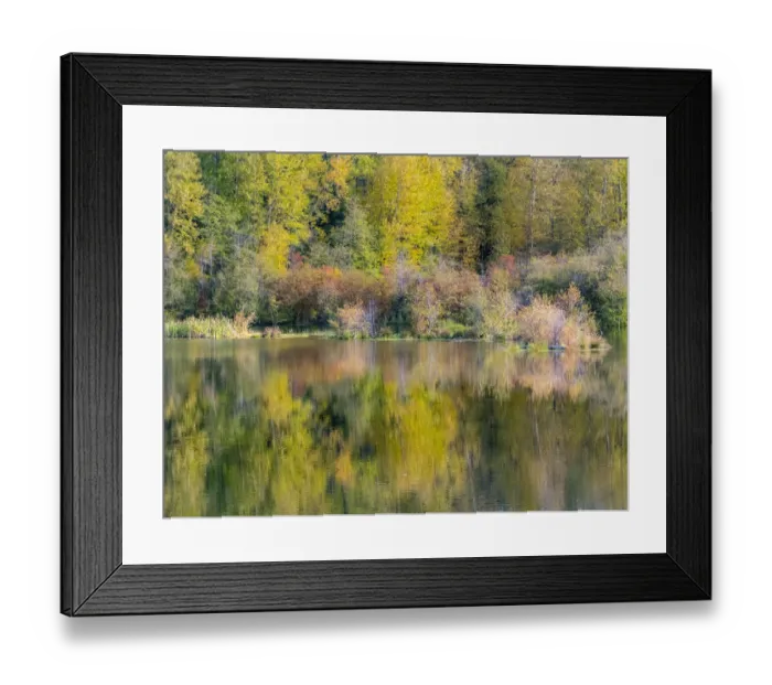 Framed Print : USA, Washington State, Easton and fall colors of Cottonwoods in small pond Framed Print : USA, Washington State, Easton and fall colors of Cottonwoods in small pond
