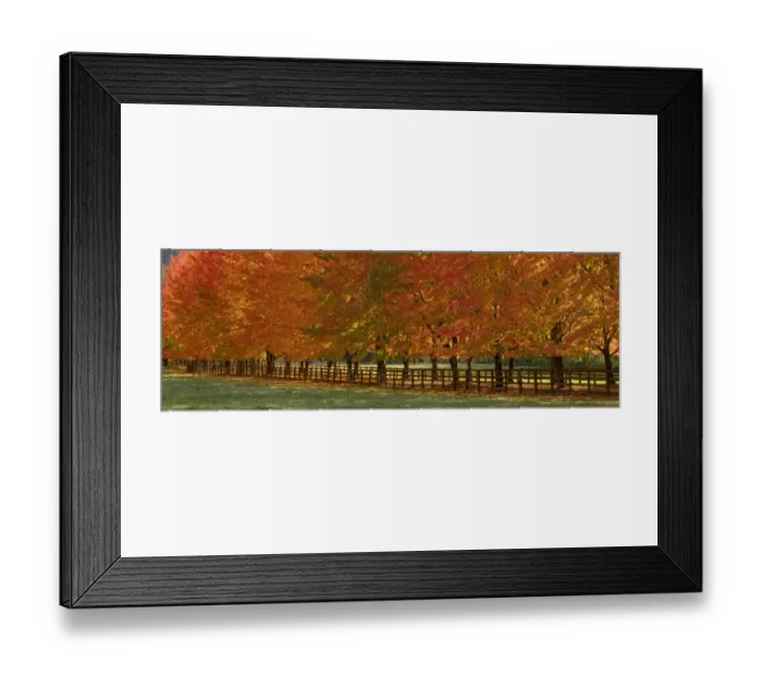 Framed Print : USA, Washington State, North Bend fence and tree lined driveway in fall colors Framed Print : USA, Washington State, North Bend fence and tree lined driveway in fall colors