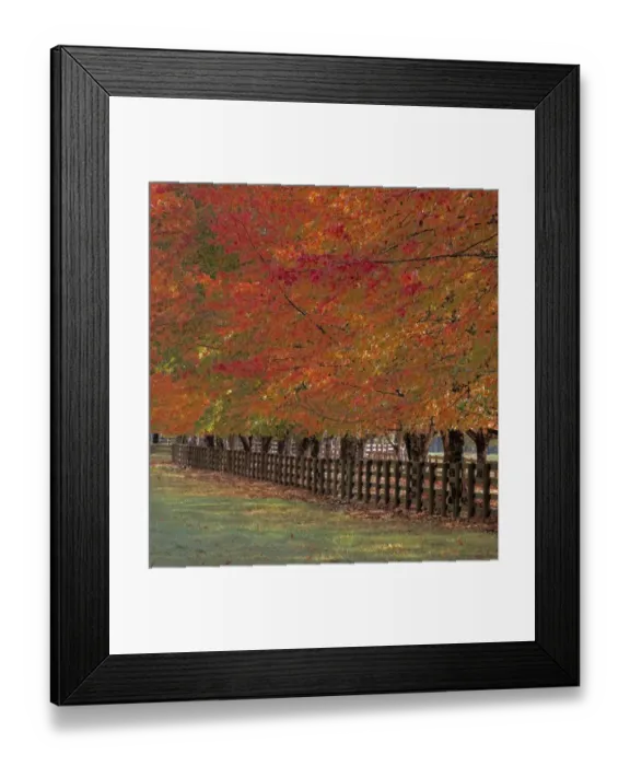 Framed Print : USA, Washington State, North Bend fence and tree lined driveway in fall colors Framed Print : USA, Washington State, North Bend fence and tree lined driveway in fall colors