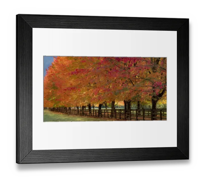Framed Print : USA, Washington State, North Bend fence and tree lined driveway in fall colors Framed Print : USA, Washington State, North Bend fence and tree lined driveway in fall colors
