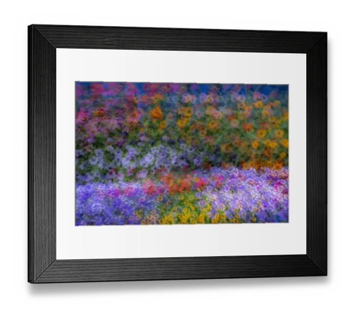 Framed Print : USA, Washington State, Pacific Northwest, Sammamish colorful flowers and blue picket fence multi exposures Framed Print : USA, Washington State, Pacific Northwest, Sammamish colorful flowers and blue picket fence multi exposures