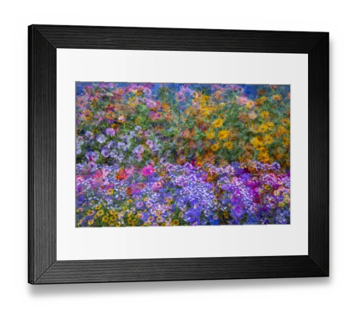 Framed Print : USA, Washington State, Pacific Northwest, Sammamish colorful flowers and blue picket fence multi exposures