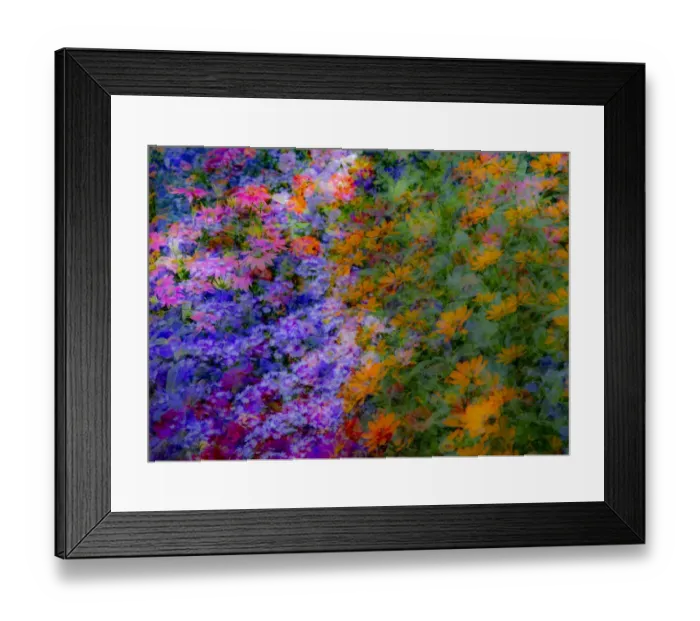 Framed Print : USA, Washington State, Pacific Northwest, Sammamish colorful flowers and blue picket fence multi exposures