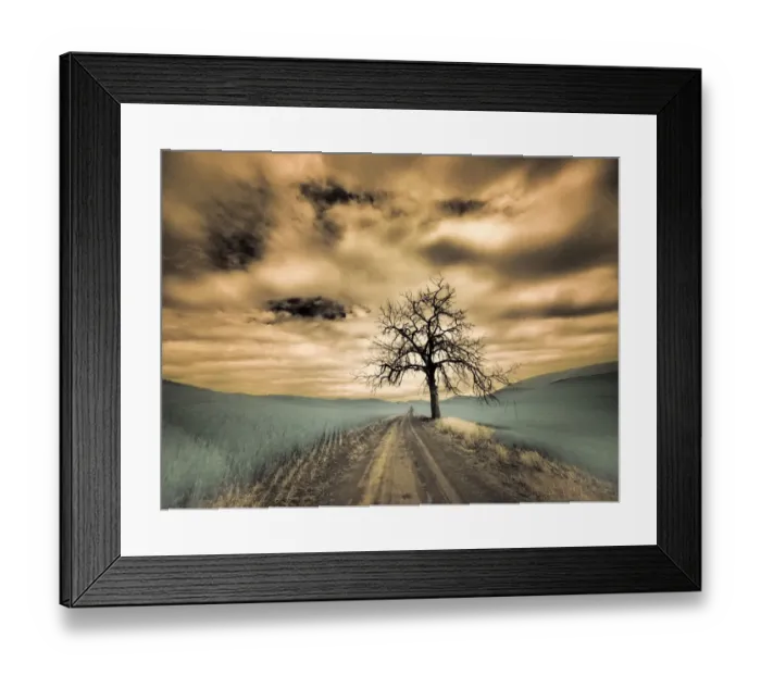 Framed Print : USA, Washington State, Palouse. Infrared of lone tree along side country road Framed Print : USA, Washington State, Palouse. Infrared of lone tree along side country road