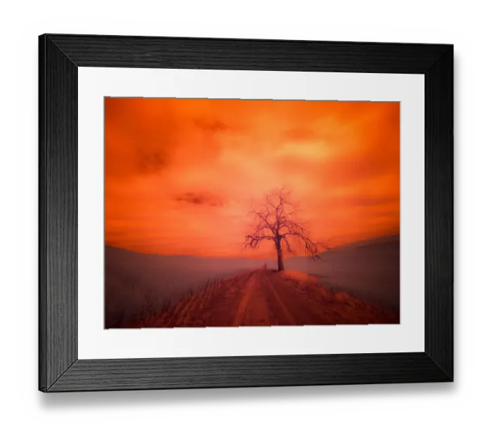 Framed Print : USA, Washington State, Palouse. Infrared of lone tree along side country road Framed Print : USA, Washington State, Palouse. Infrared of lone tree along side country road
