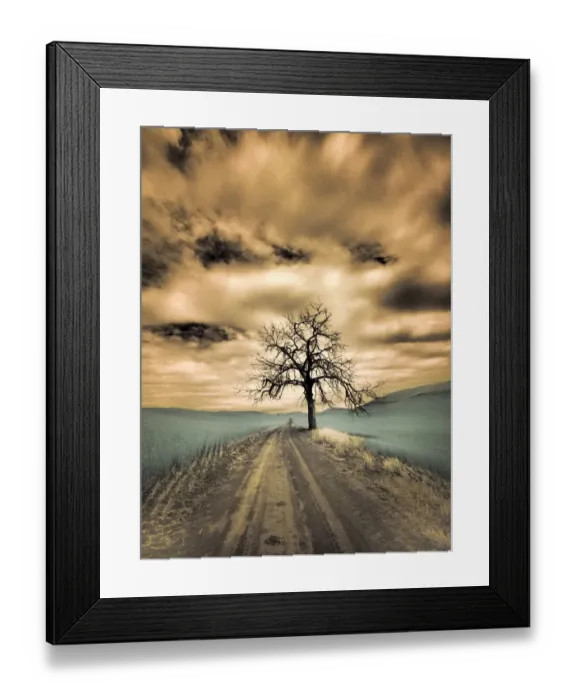 Framed Print : USA, Washington State, Palouse. Infrared of lone tree along side country road