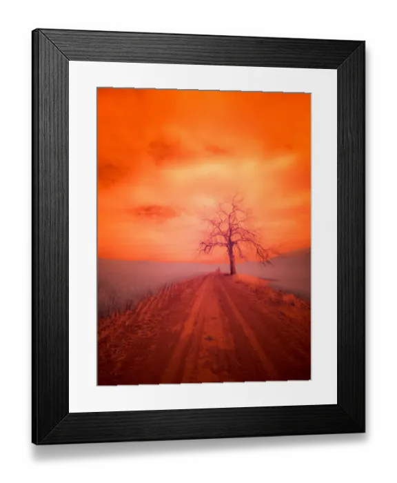 Framed Print : USA, Washington State, Palouse. Infrared of lone tree along side country road Framed Print : USA, Washington State, Palouse. Infrared of lone tree along side country road