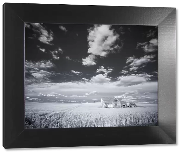 USA, Washington State, Palouse. Infrared of old homestead with special clouds