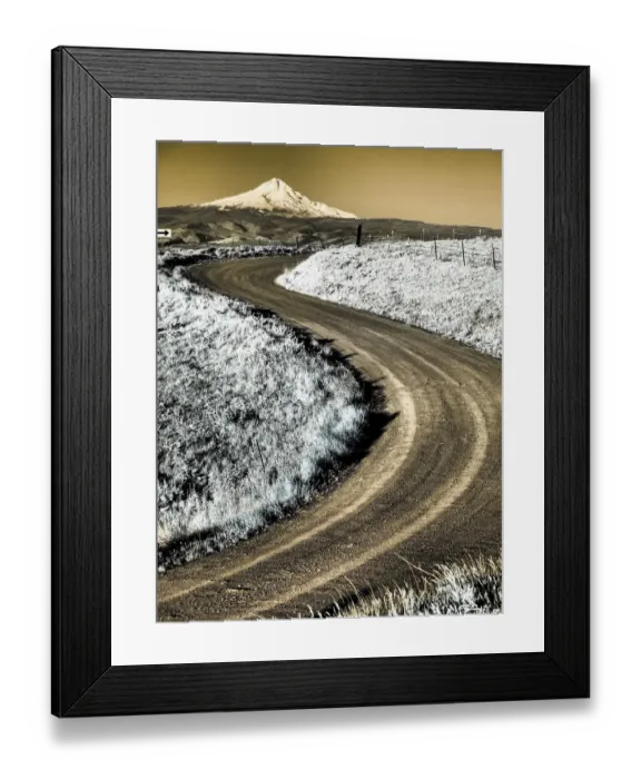 Framed Print : USA, Washington State. Infrared capture of road running though wildflowers with Mount Hood in background