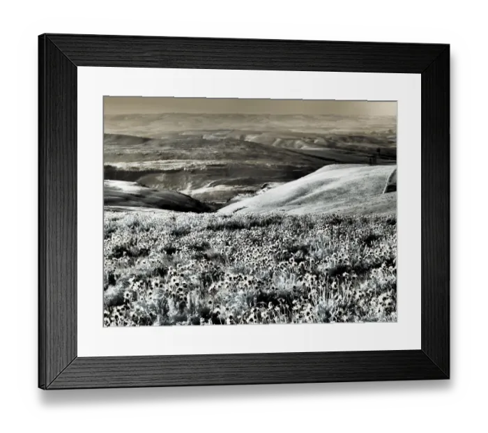 Framed Print : USA, Washington State. Infrared capture Spring wildflowers and hills