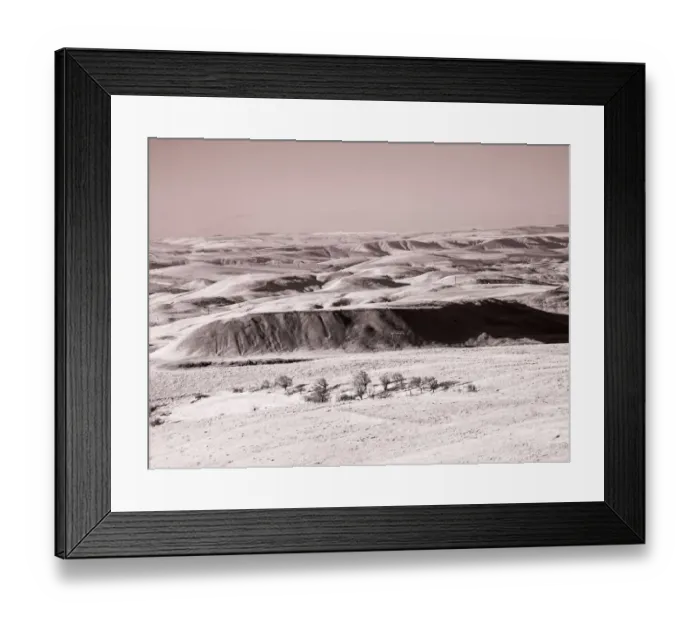 Framed Print : USA, Washington State. Infrared capture wildflowers covering the hills along the Columbia River