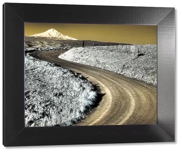 USA, Washington State. Infrared capture of road running though wildflowers with Mount Hood in background