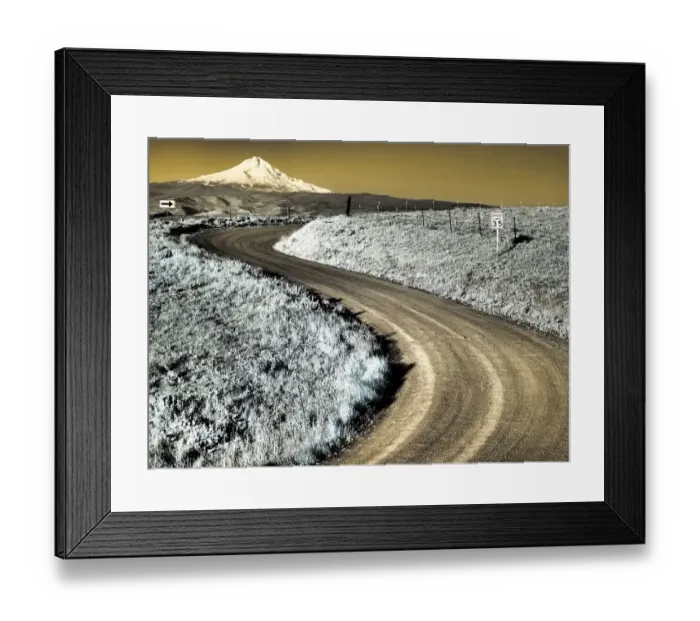 Framed Print : USA, Washington State. Infrared capture of road running though wildflowers with Mount Hood in background Framed Print : USA, Washington State. Infrared capture of road running though wildflowers with Mount Hood in background