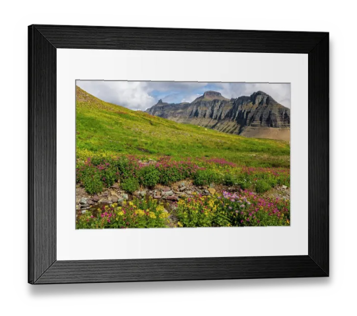 Framed Print : Alpine meadows full of wildflowers at Logan Pass in Glacier National Park, Montana, USA Framed Print : Alpine meadows full of wildflowers at Logan Pass in Glacier National Park, Montana, USA