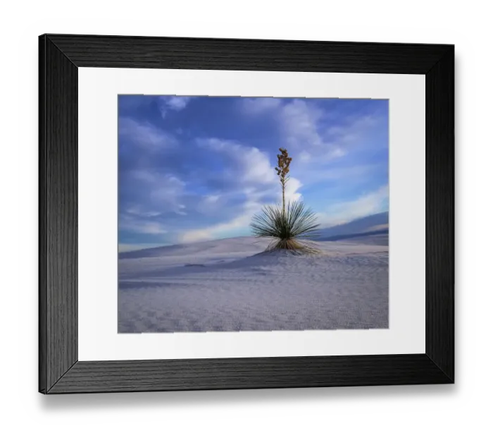 Framed Print : White Sands National Park