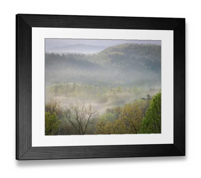 Framed Print : USA, Tennessee, Smokey Mountains National Park. Sunrise mist on mountain forest