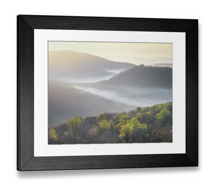 Framed Print : USA, Tennessee, Smokey Mountains National Park. Sunrise mist on mountain forest