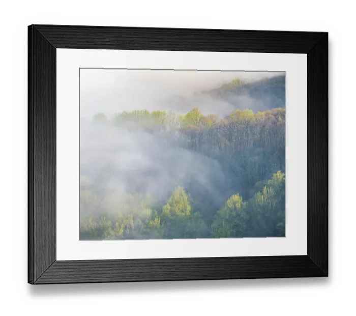 Framed Print : USA, Tennessee, Smokey Mountains National Park. Sunrise mist on mountain forest