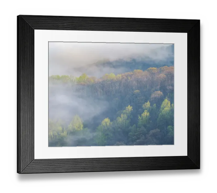 Framed Print : USA, Tennessee, Smokey Mountains National Park. Sunrise mist on mountain forest Framed Print : USA, Tennessee, Smokey Mountains National Park. Sunrise mist on mountain forest