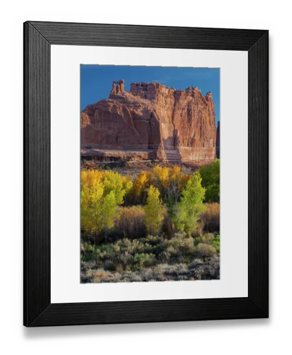 Framed Print : USA, Utah. Autumn cottonwoods at sunset, Arches National Park Framed Print : USA, Utah. Autumn cottonwoods at sunset, Arches National Park