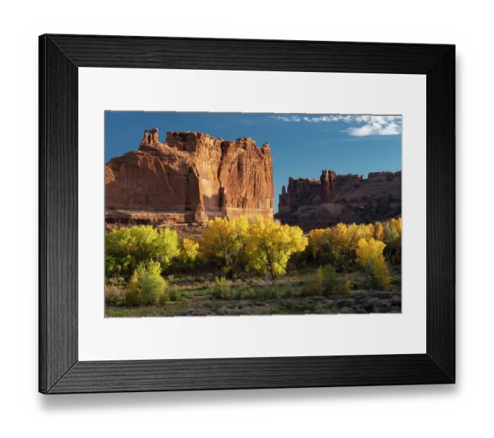 Framed Print : USA, Utah. Autumn cottonwoods and the Three Gossips at sunset, Arches National Park Framed Print : USA, Utah. Autumn cottonwoods and the Three Gossips at sunset, Arches National Park